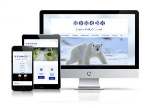 Website Cryotechnik Dissevelt