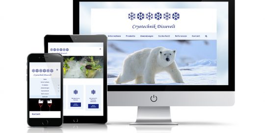 Website Cryotechnik Dissevelt